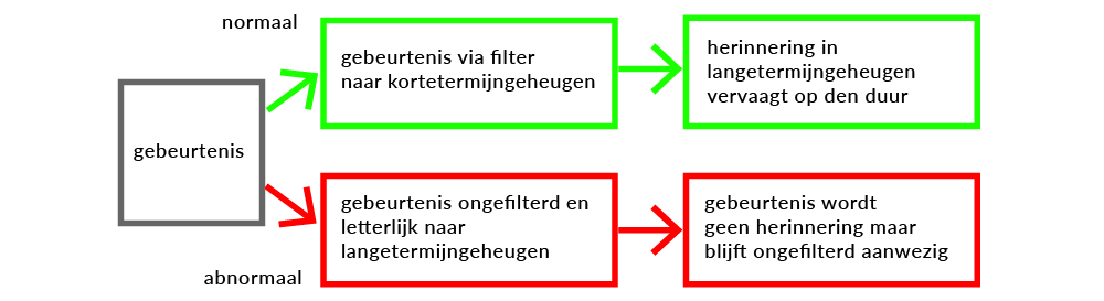 EMDR schema