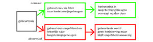 EMDR schema